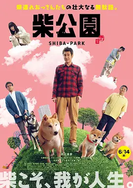 我不喜欢年轻人4