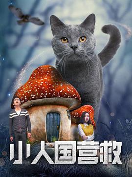 精品国产中文一级毛片在线看