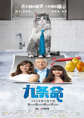 伊人久久精品成人网