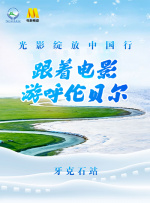 和同事激情中文版在线观看