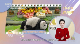 姐姐是护士