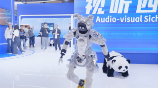 岛国搬运工www啪欧美